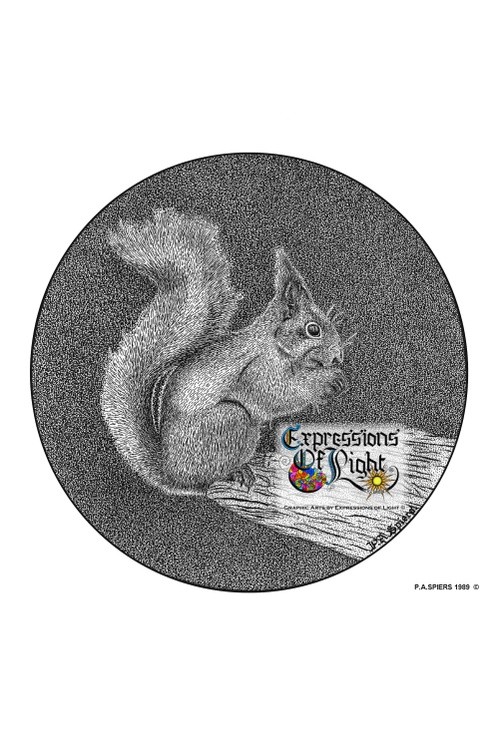 ExpoLight-Graphic-Arts-Red-Squirrel-1989-0001 (Pen-&-Ink-Mono-SP)