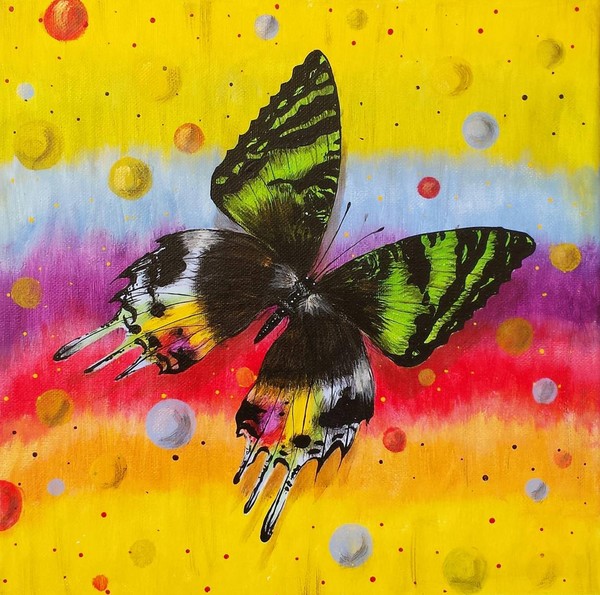 Sunset Moth Upon Circles