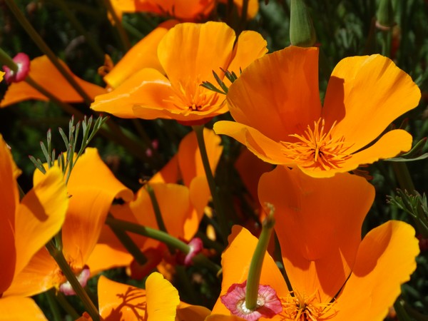 a bit of warm color