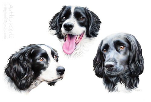 Lucy, Hero & Poppet