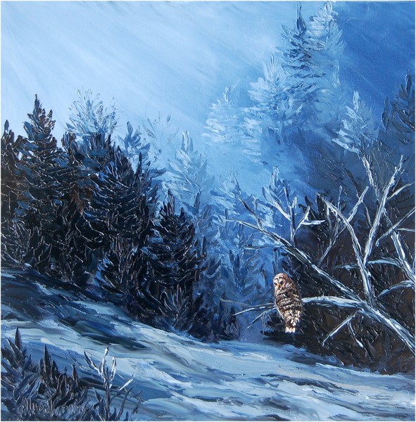Barred Owl in a Snow Storm
