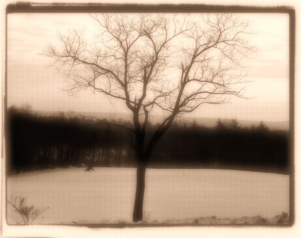 Winter's Touch