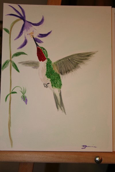 Ruby Throated Humming Bird and Columbine