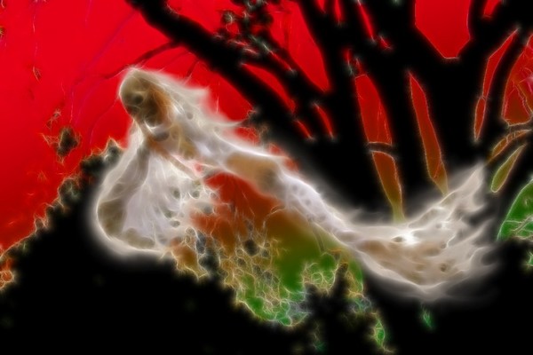 Ghost