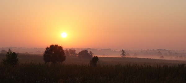 Foggy sunrise