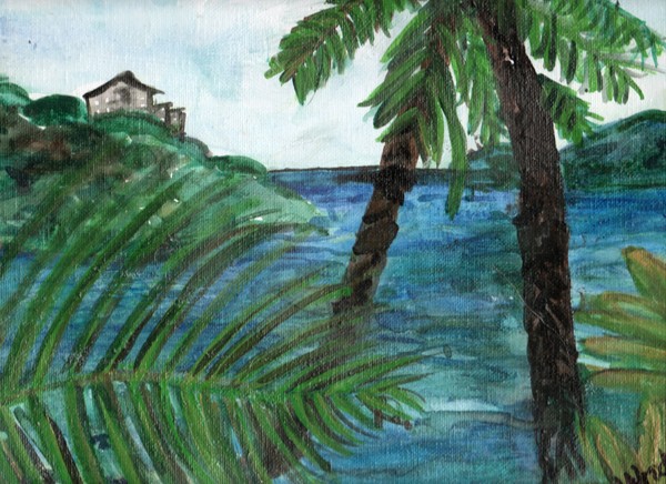 Palmtree Virgin Islands