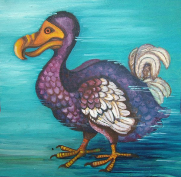 dodo 'passing through'