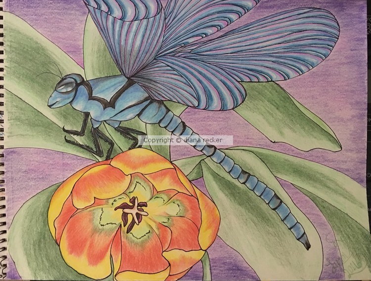 Dragonfly on tulip, series drawing #1
