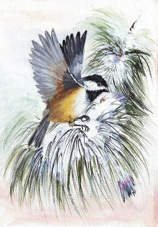 Chickadee Flutter