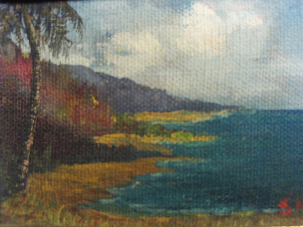 TROPICAL SUN - Theme by SAL CARUSO (c.)1997