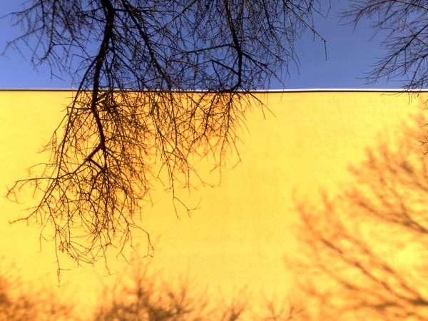 ochre