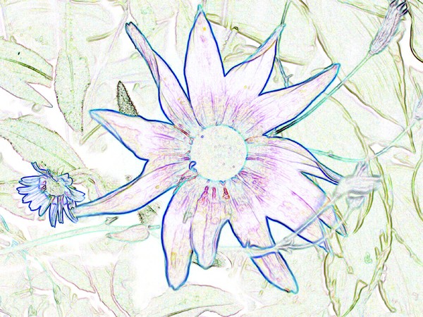 Essence of Nature 6