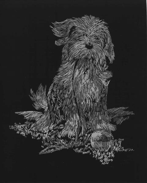 Puppy