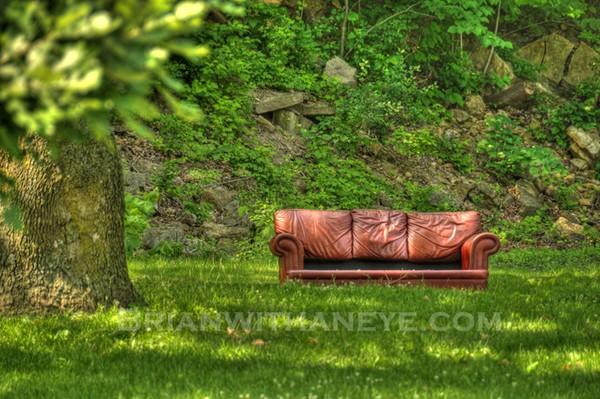 Leather Woods