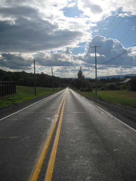 double yellow through corn fields
