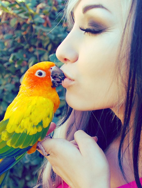 Birdie Kisses