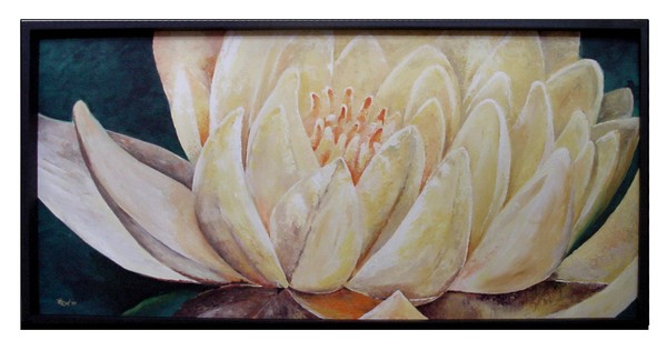 water lilly