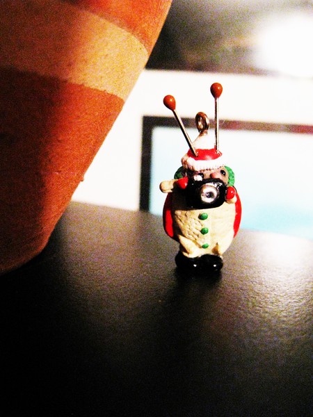 Shutterbug