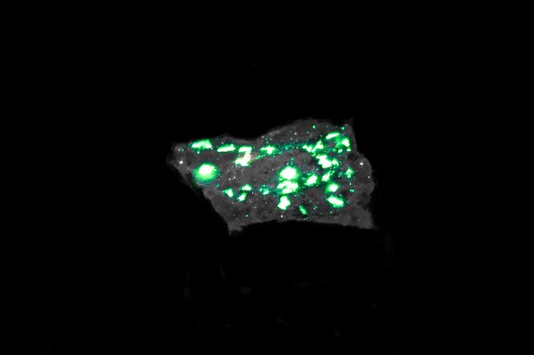 Uranocircite