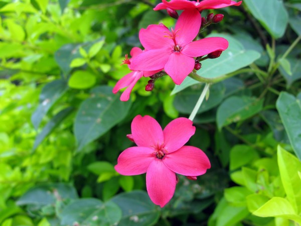 IMG 3939 resize