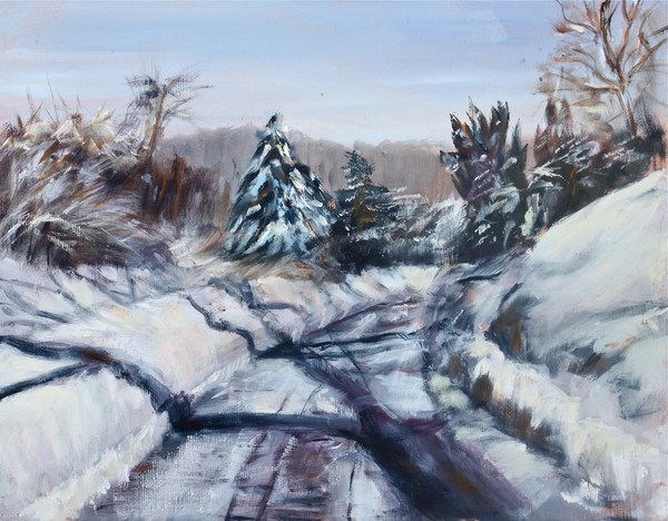 SNOW IN MY DRIVEWAY