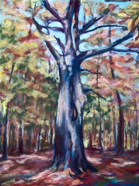 The Old Tree