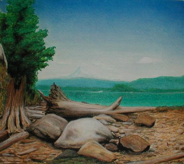 Washington's Mount Baker