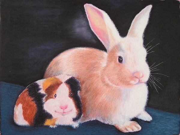 Guinea-pig and Rabbit