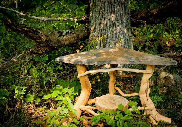 Maple root. Black walnut. Slate