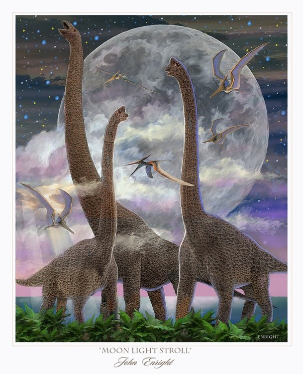 Moonlight Stroll