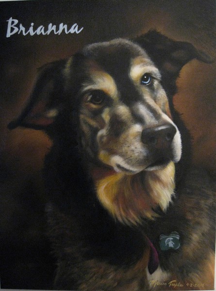 Pet Portrait #2