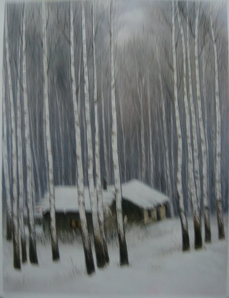 snow covered cabins
