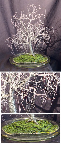 POPLAR IN ROUND GLASS. SORRY, SOLD!