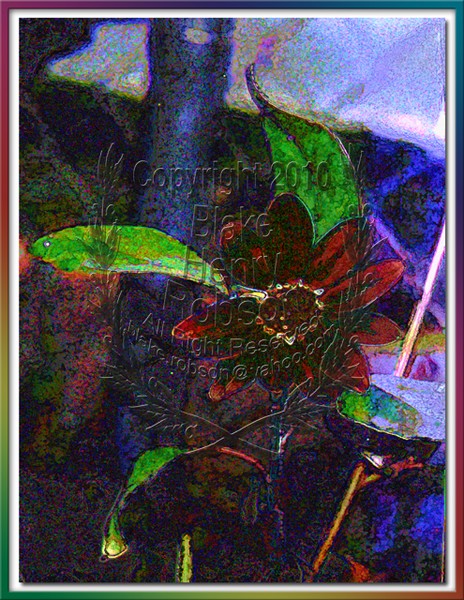 Nice flower art framed