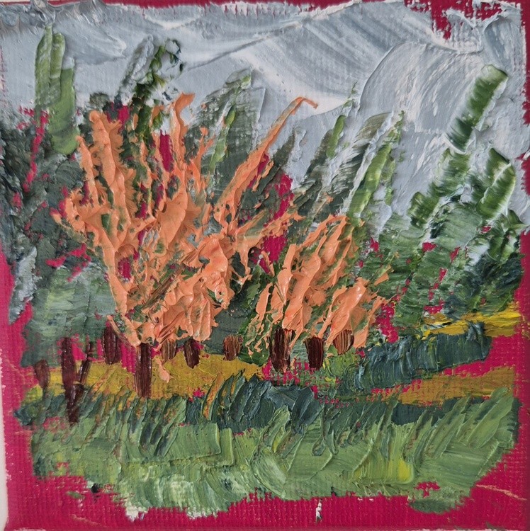 Landscape, August 2024