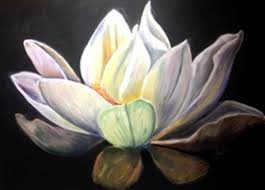 White Glory