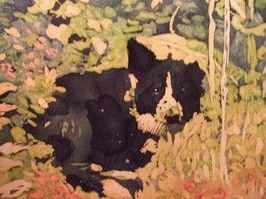 pet portrait