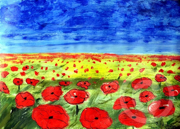 Firld of Poppys