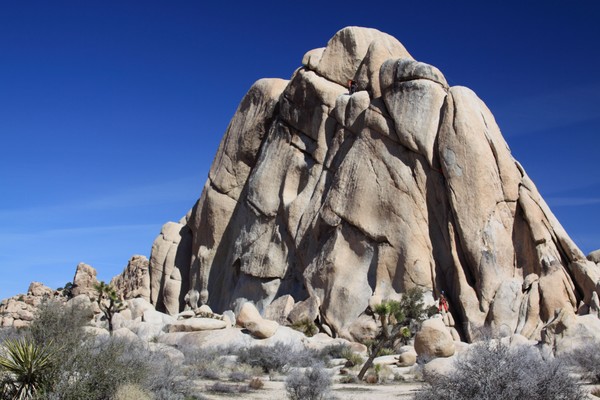 Joshua Tree Nat. Pk. Rock Climbers 5