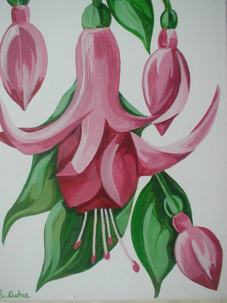 Fushia