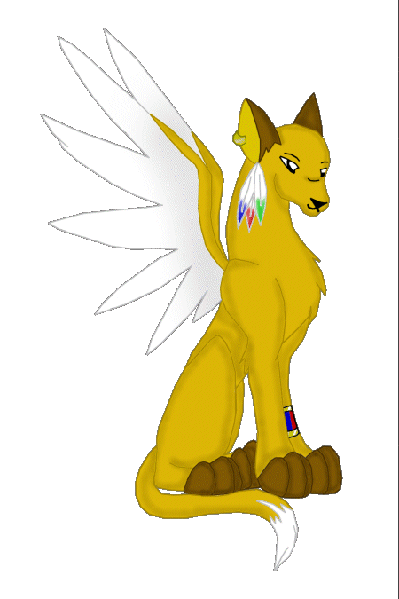 the New Toytee_o
