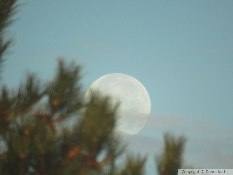 Moon