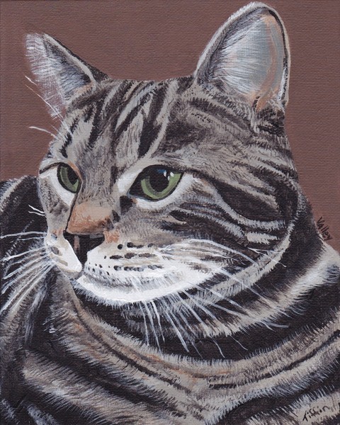 Tabby Cat
