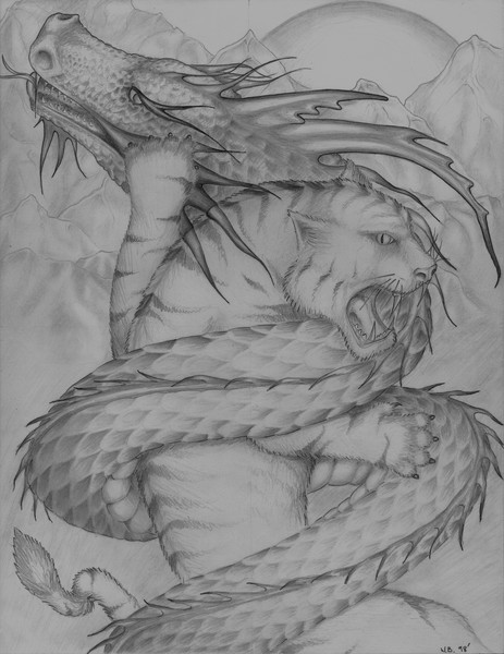 Dragon & the Big Cat by W. W. Burleson