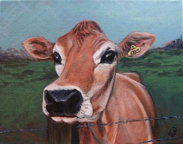 Moo to You