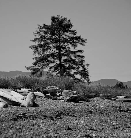 Solitude