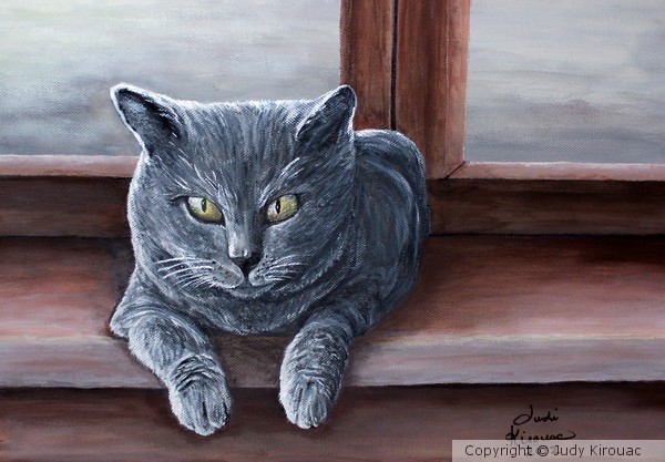 Carthusian Cat