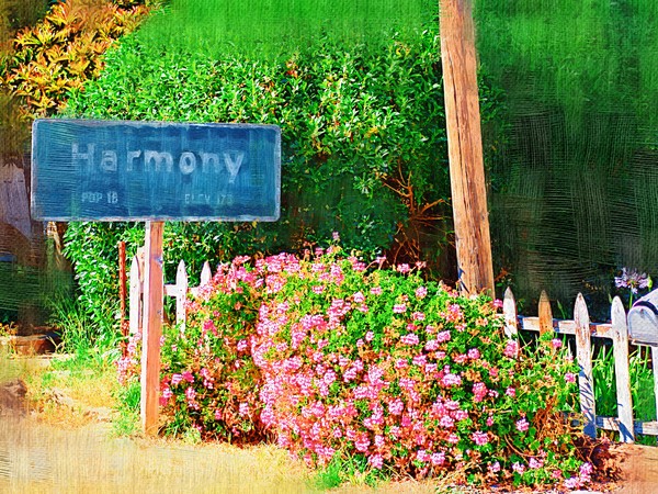 Harmony