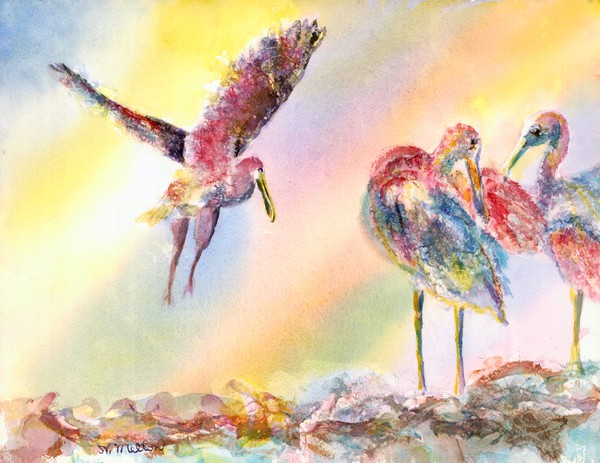 Roseate Spoonbills