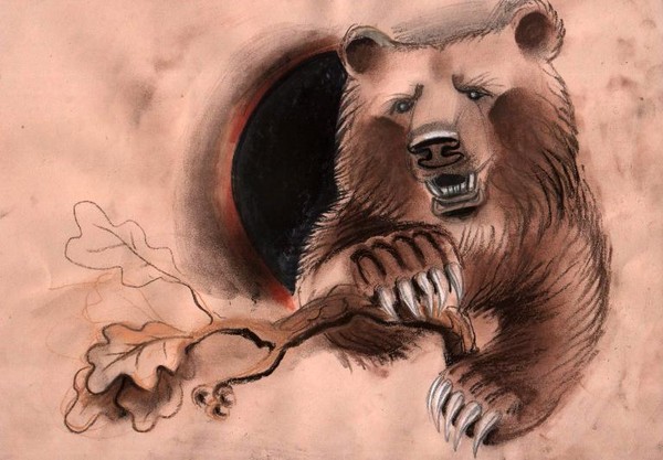 Bear